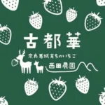 西田農園　古都華🍓農家